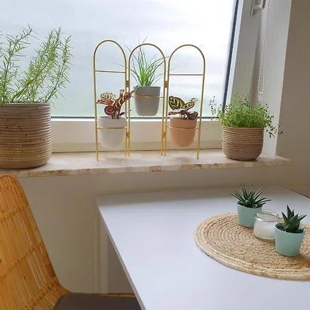 Apartment Boho