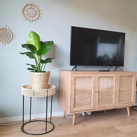 Boho *
